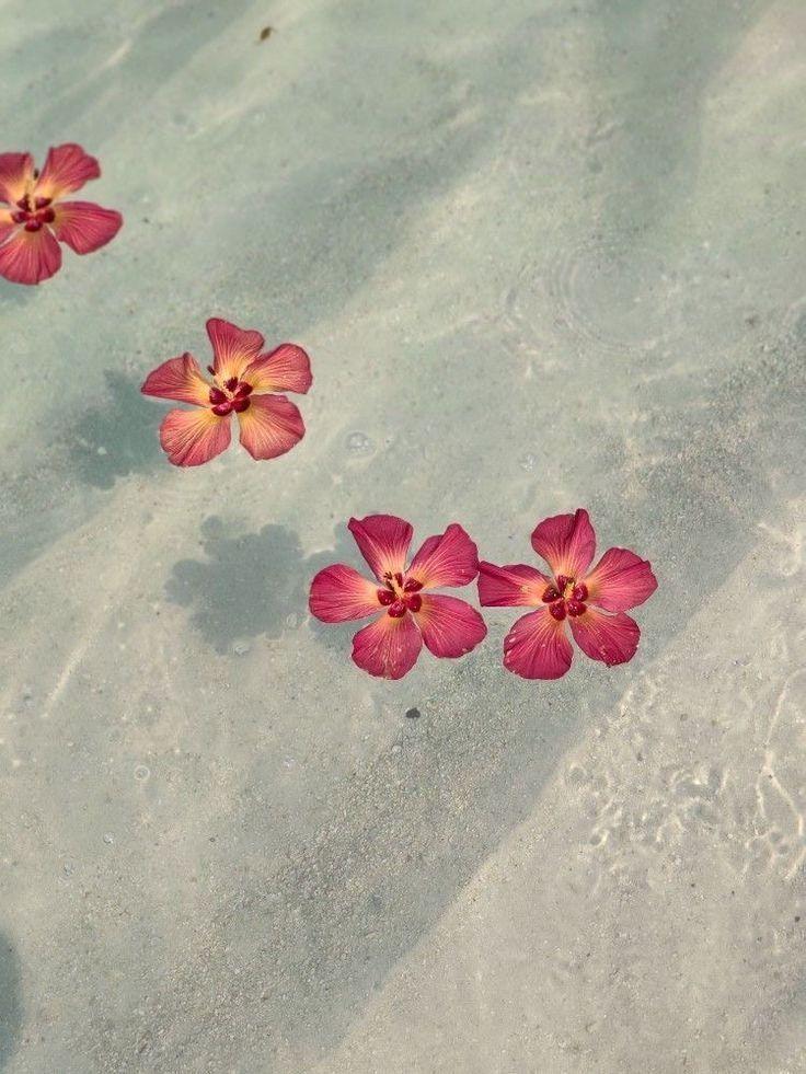 Whimsical Blooms of Serenity